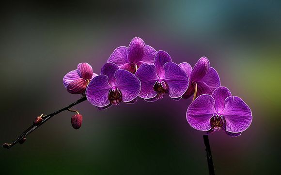 徽州师范是什么职高