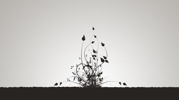 职高英语公开课怎么讲好听