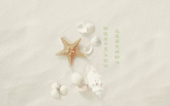 中专技术学什么