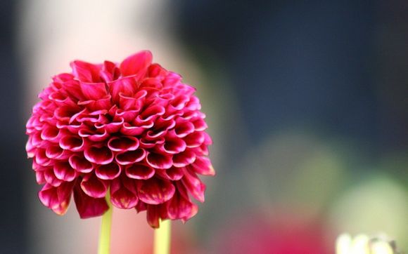 去卫校难吗